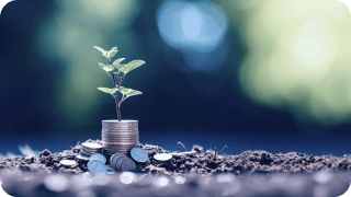 Image of a new sprout growing out of coins signifying the security of an emergency fund.