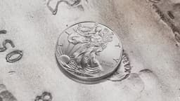 news preview