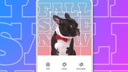news preview