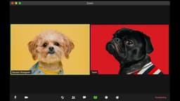 news preview
