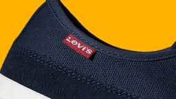 news preview